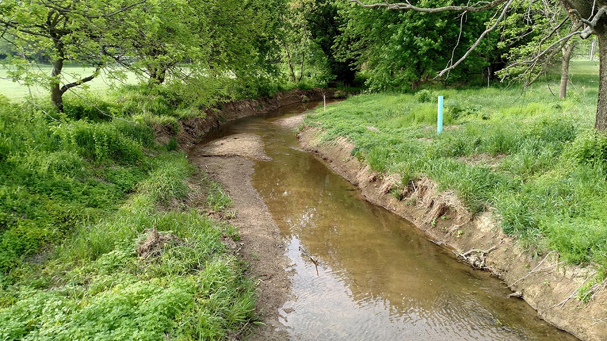 A view of the Logan Park – Rife Run property before restoration